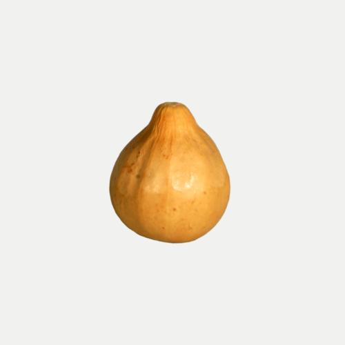 ساز خودصدا